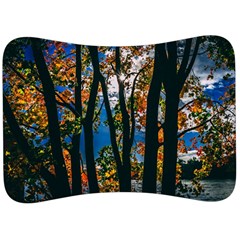 Silhouette Of Trees Velour Seat Head Rest Cushion by Pakrebo