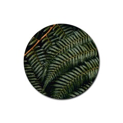 Green Leaves Photo Rubber Coaster (round)  by Pakrebo