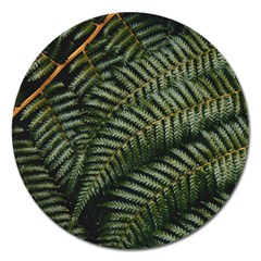 Green Leaves Photo Magnet 5  (round) by Pakrebo