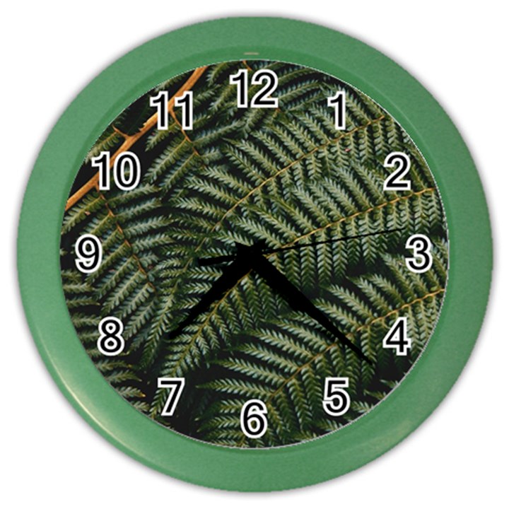 Green Leaves Photo Color Wall Clock