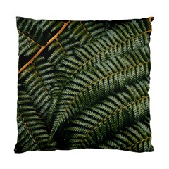 Green Leaves Photo Standard Cushion Case (two Sides) by Pakrebo