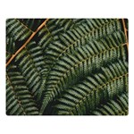 Green Leaves Photo Double Sided Flano Blanket (Large)  80 x60  Blanket Front