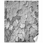 Nature Texture Print Canvas 16  x 20  15.75 x19.29  Canvas - 1