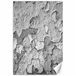 Nature Texture Print Canvas 24  x 36  23.35 x34.74  Canvas - 1