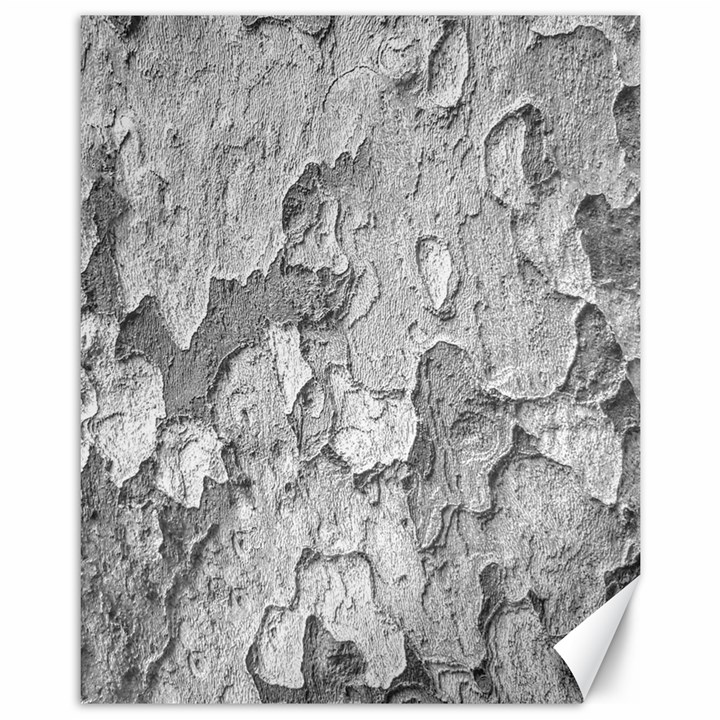 Nature Texture Print Canvas 11  x 14 