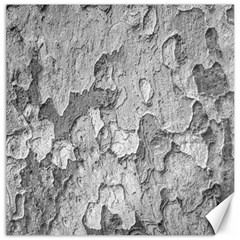 Nature Texture Print Canvas 12  X 12  by dflcprintsclothing