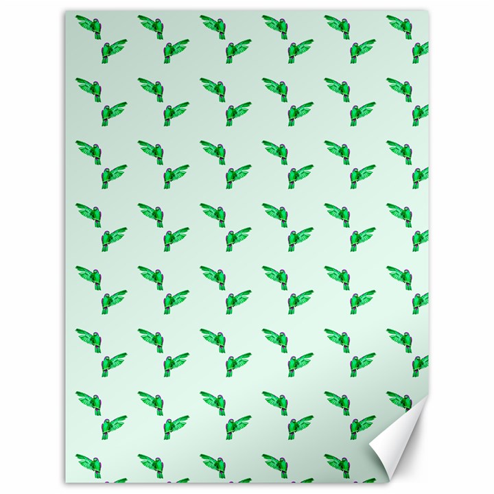 Green Parrot Pattern Canvas 12  x 16 