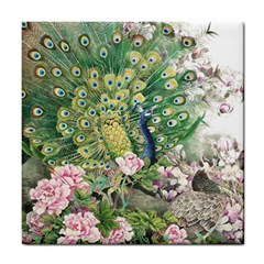 Peafowl Peacock Feather Beautiful Tile Coasters by Sudhe