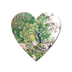 Peafowl Peacock Feather Beautiful Heart Magnet by Sudhe