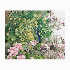 Peafowl Peacock Feather Beautiful Small Glasses Cloth by Sudhe