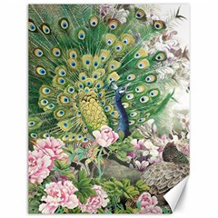 Peafowl Peacock Feather Beautiful Canvas 12  X 16 