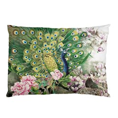 Peafowl Peacock Feather Beautiful Pillow Case by Sudhe