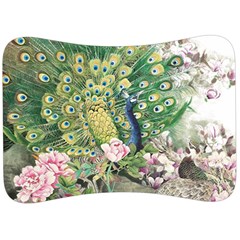 Peafowl Peacock Feather Beautiful Velour Seat Head Rest Cushion by Sudhe