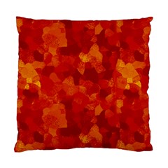 Fall Standard Cushion Case (one Side) by designsbyamerianna