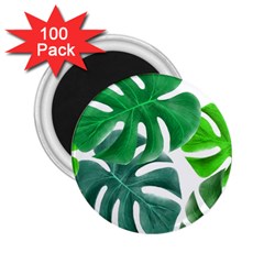 Tropical Greens Leaves Design 2 25  Magnets (100 Pack)  by Simbadda