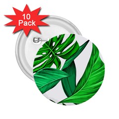 Leaves Tropical Monstera Summer 2 25  Buttons (10 Pack) 