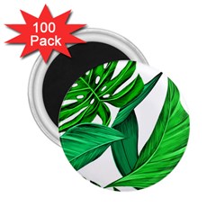 Leaves Tropical Monstera Summer 2 25  Magnets (100 Pack)  by Simbadda