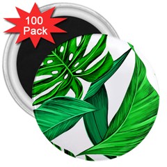 Leaves Tropical Monstera Summer 3  Magnets (100 Pack) by Simbadda