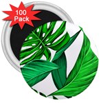 Leaves Tropical Monstera Summer 3  Magnets (100 pack) Front