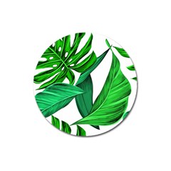 Leaves Tropical Monstera Summer Magnet 3  (Round)