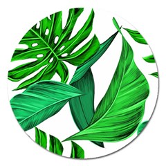 Leaves Tropical Monstera Summer Magnet 5  (Round)