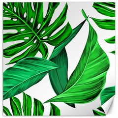 Leaves Tropical Monstera Summer Canvas 20  x 20 