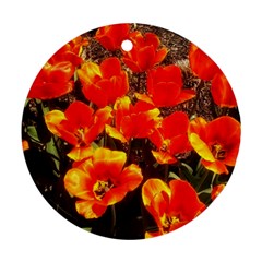 Orange Tulips At The Commons Ornament (round) by Riverwoman