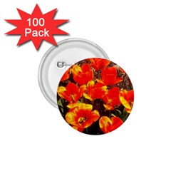 Orange Tulips At The Commons 1 75  Buttons (100 Pack)  by Riverwoman