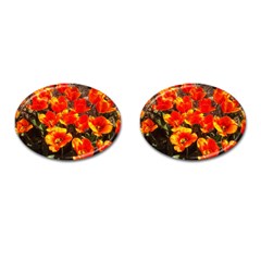 Orange Tulips At The Commons Cufflinks (oval) by Riverwoman