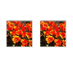 Orange Tulips At The Commons Cufflinks (square) by Riverwoman