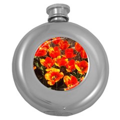 Orange Tulips At The Commons Round Hip Flask (5 Oz) by Riverwoman