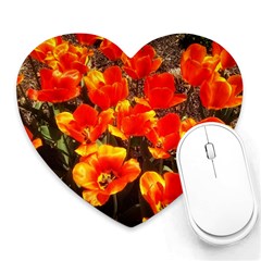 Orange Tulips At The Commons Heart Mousepads by Riverwoman