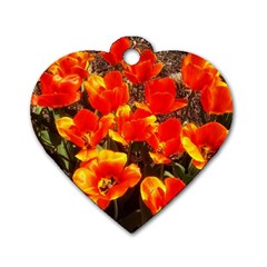 Orange Tulips At The Commons Dog Tag Heart (one Side) by Riverwoman