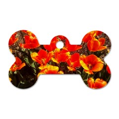 Orange Tulips At The Commons Dog Tag Bone (one Side) by Riverwoman