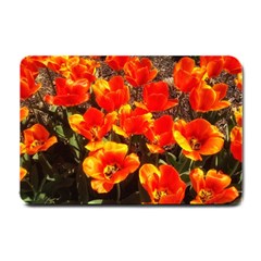 Orange Tulips At The Commons Small Doormat  by Riverwoman