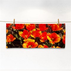 Orange Tulips At The Commons Hand Towel by Riverwoman