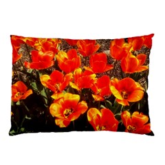 Orange Tulips At The Commons Pillow Case by Riverwoman