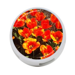 Orange Tulips At The Commons 4-port Usb Hub (two Sides) by Riverwoman