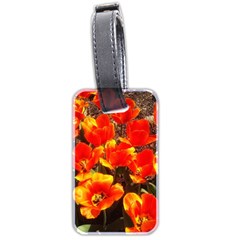 Orange Tulips At The Commons Luggage Tag (two Sides) by Riverwoman