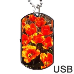 Orange Tulips At The Commons Dog Tag Usb Flash (one Side) by Riverwoman