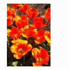 Orange Tulips At The Commons Small Garden Flag (two Sides) by Riverwoman