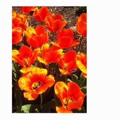 Orange Tulips At The Commons Large Garden Flag (two Sides) by Riverwoman