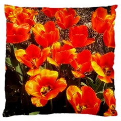 Orange Tulips At The Commons Large Cushion Case (two Sides) by Riverwoman