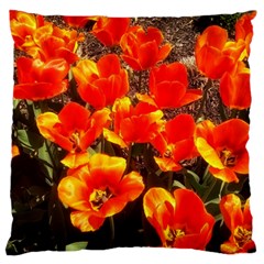 Orange Tulips At The Commons Standard Flano Cushion Case (two Sides) by Riverwoman