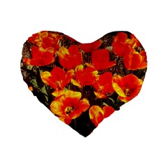 Orange Tulips At The Commons Standard 16  Premium Flano Heart Shape Cushions by Riverwoman