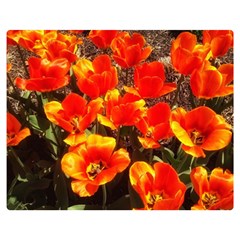 Orange Tulips At The Commons Double Sided Flano Blanket (medium)  by Riverwoman