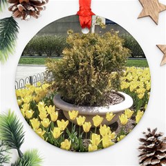 Columbus Commons Yellow Tulips Ornament (round) by Riverwoman