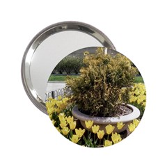 Columbus Commons Yellow Tulips 2 25  Handbag Mirrors by Riverwoman