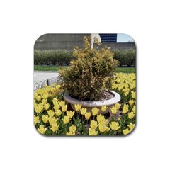 Columbus Commons Yellow Tulips Rubber Coaster (square)  by Riverwoman