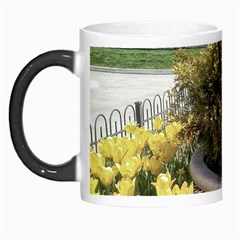 Columbus Commons Yellow Tulips Morph Mugs by Riverwoman